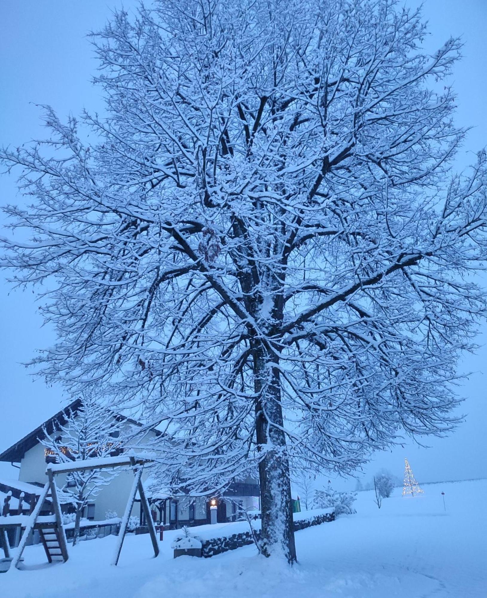 Fruehstuecks-Pension Lichtenauer Hof Thyrnau Esterno foto